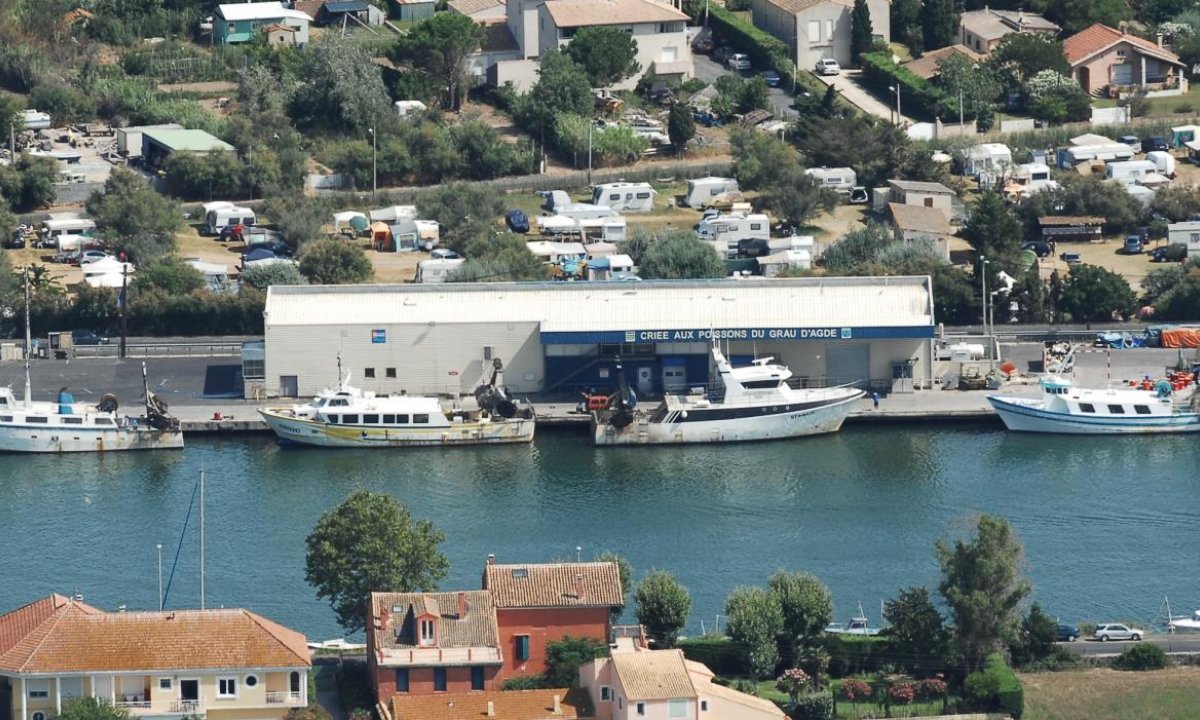 Halle à marée du port de pêche du Grau d'Agde (34)